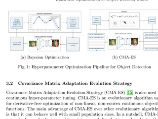 Black-box optimization of detector scales thumbnail