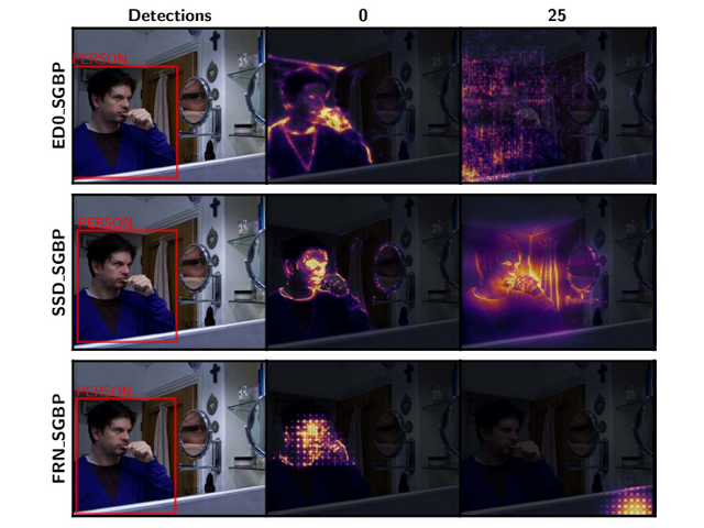 Sanity Checks for Saliency Methods thumbnail